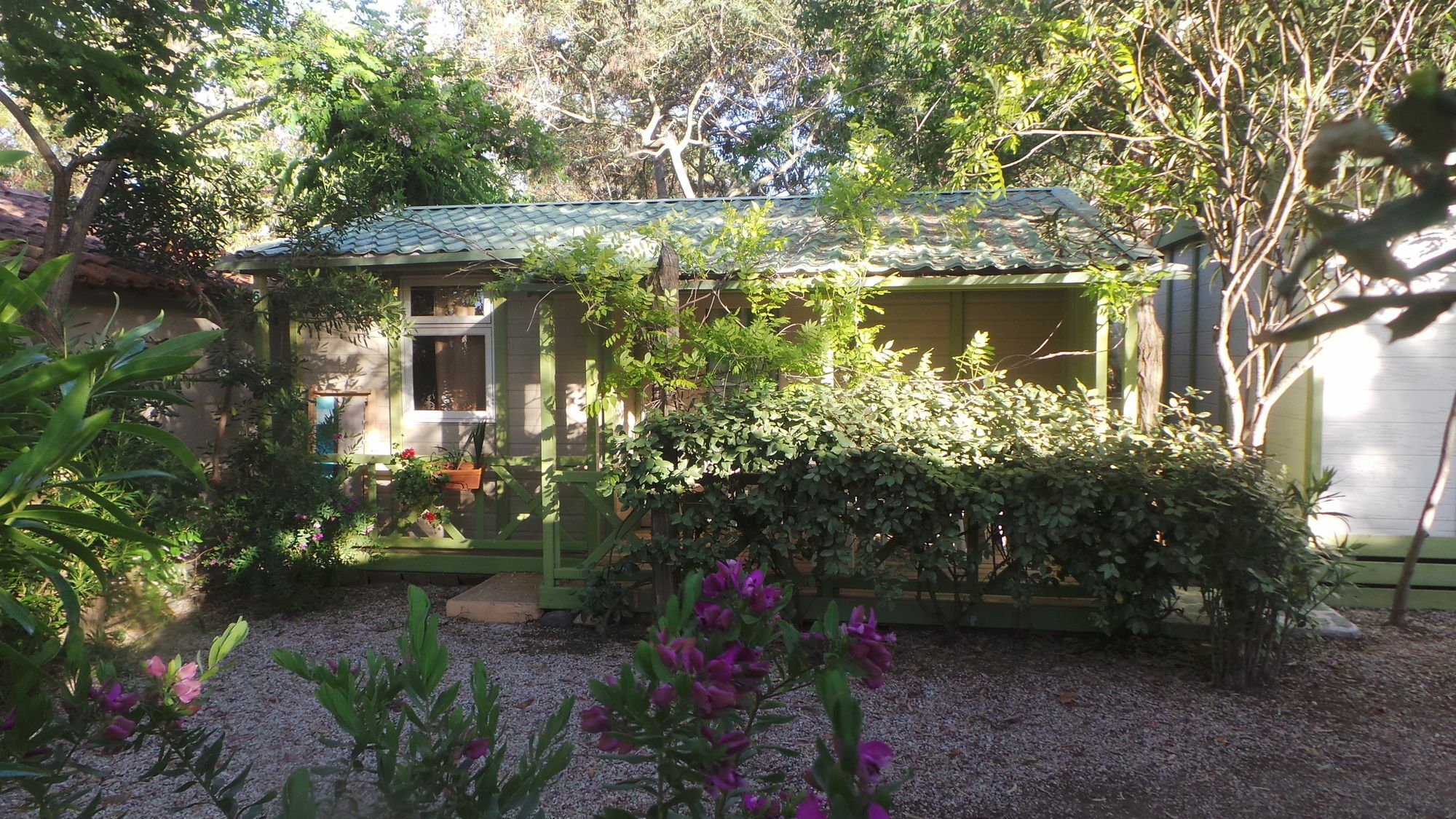 Camping La Cle Des Champs Calvi  Exterior photo