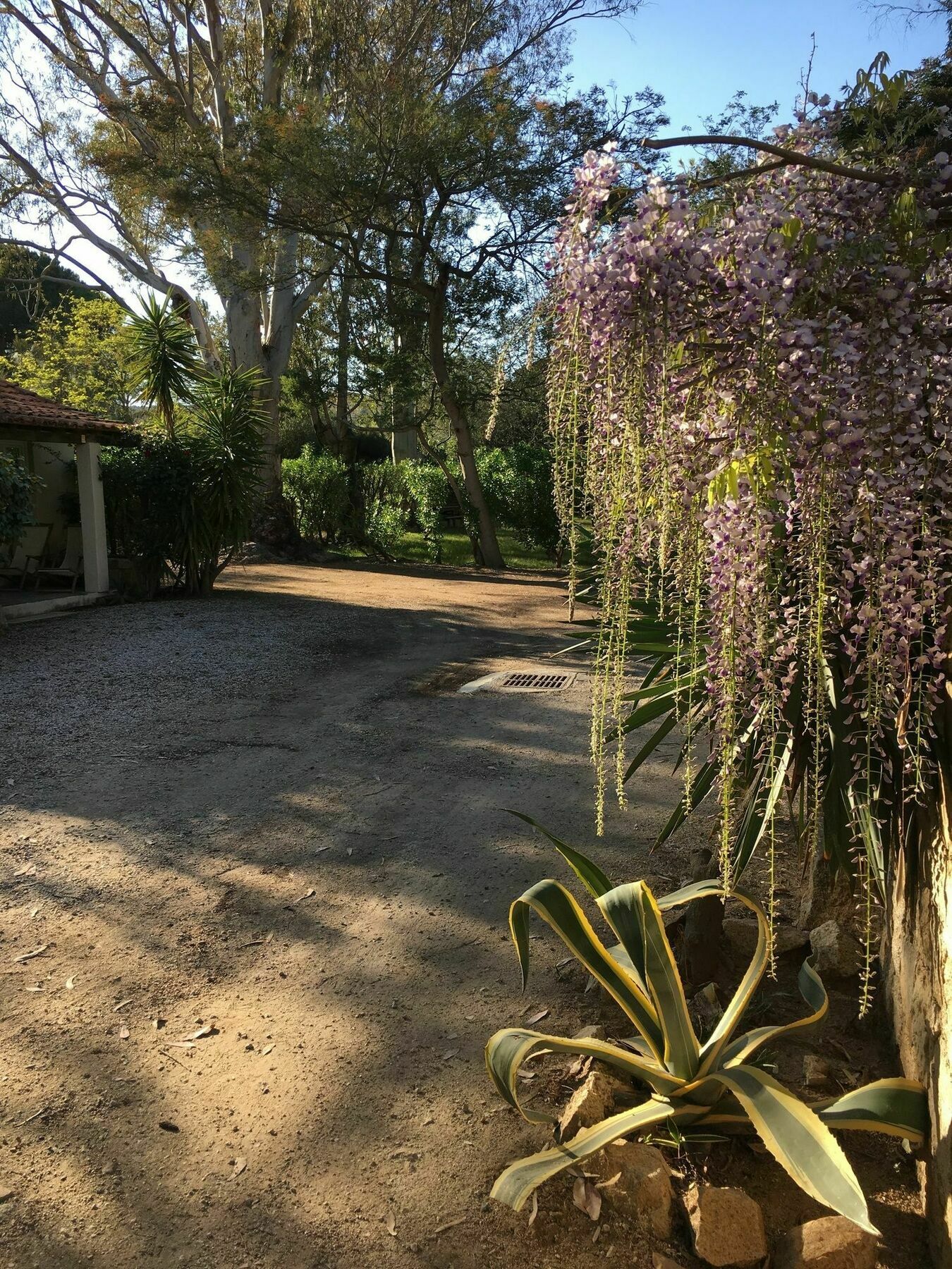 Camping La Cle Des Champs Calvi  Exterior photo
